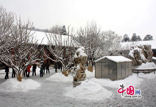 Tuyết ngập trắng Cung điện Mùa hè