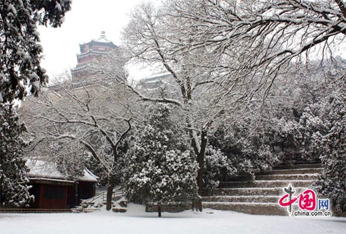 Tuyết ngập trắng Cung điện Mùa hè