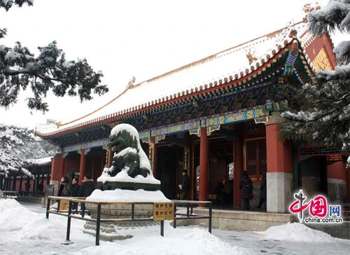 Tuyết ngập trắng Cung điện Mùa hè