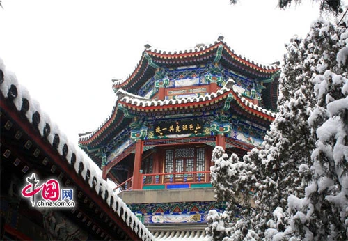 Tuyết ngập trắng Cung điện Mùa hè