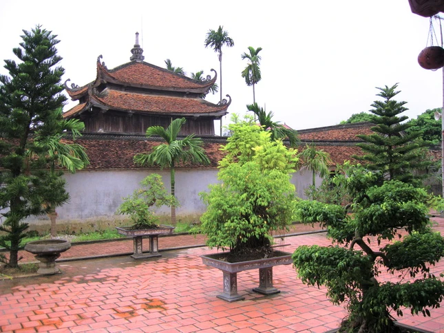 Kỳ tích chùa Giám ảnh 14 chua_giam_16_jpg.jpg