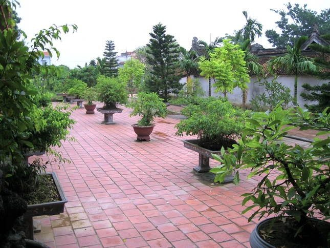 Kỳ tích chùa Giám ảnh 4 chua_giam_21_jpg.jpg