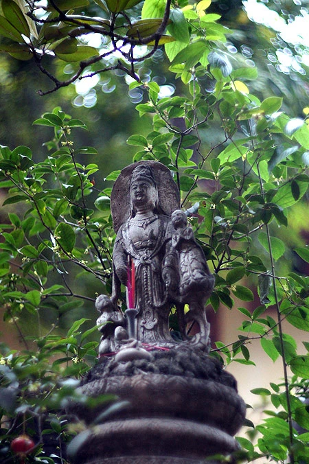 Những ngôi chùa trong phố cổ