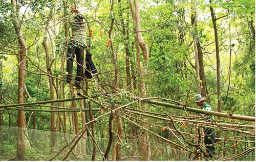 PS ảnh: Quá đau đớn cuộc giết cả gia đình nhà khỉ, Tin tức, Eva tám chuyện, Giet ca nha khi, san bat dong vat, giet nha khi, dong vat hoang da, giet dong vat, tin tuc, tin nhanh, tin trong ngay