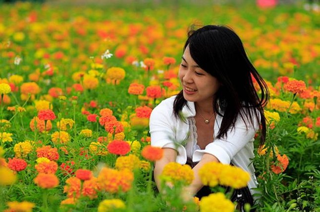 Mùa Xuân dạy tôi bài học lắng nghe ảnh 1 mua-xuan-dai-nam0.jpg