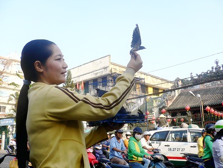 Đầu năm gieo phước ảnh 5 Đầu năm gieo phước ảnh 5