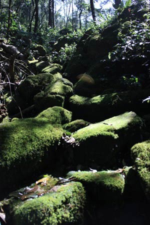 Những lý do để chinh phục Yên Tử từ phía Tây ảnh 2 Những lý do để chinh phục Yên Tử từ phía Tây, Du lịch, Yên Tử, cụ rùa đá, cáp treo, chùa đồng, đỉnh núi