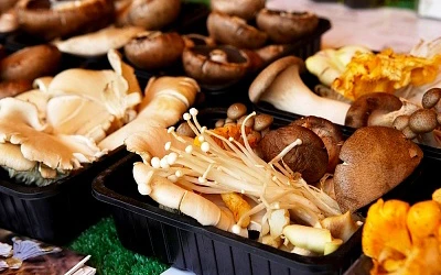 Chọn và chế biến nấm ảnh 2