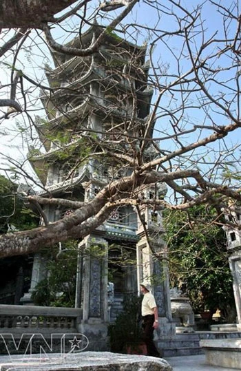 Du ngoạn Ngũ Hành Sơn ảnh 3