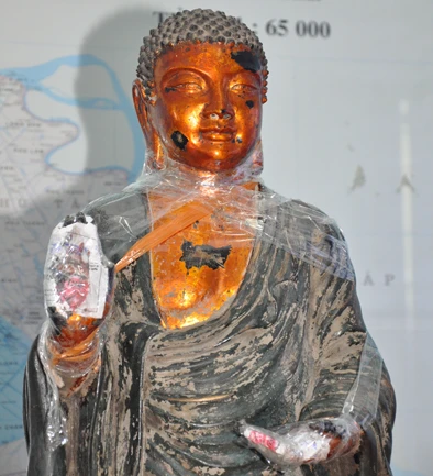 Ở vùng mặt, ngực, hai bàn tay… có màu sậm giống như bằng vàng; phần còn lại phủ sơn đen