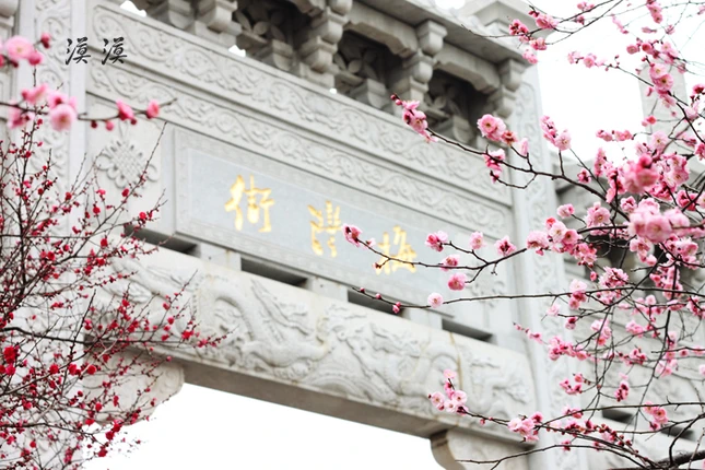 Ngắm hoa đào Hàng Châu bung nở ngày cuối xuân ảnh 1