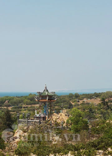 Tới thăm ngôi chùa hướng về biển xanh ảnh 6