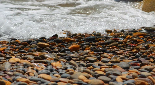 Tới thăm ngôi chùa hướng về biển xanh ảnh 14