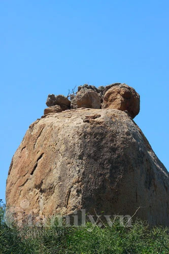 Tới thăm ngôi chùa hướng về biển xanh ảnh 10