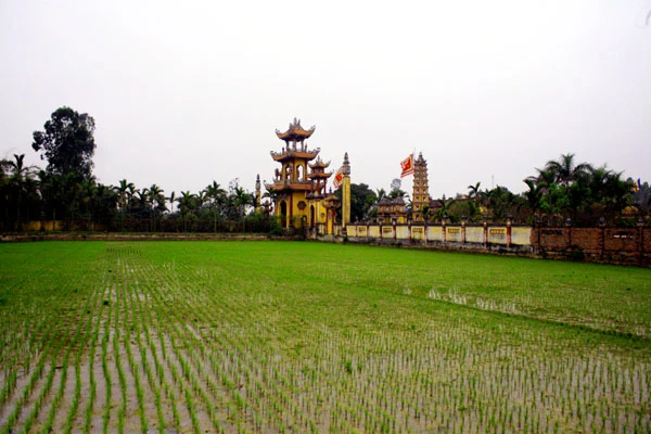 Chùa Phúc Minh – Huyền thoại giữa biển lúa ảnh 1