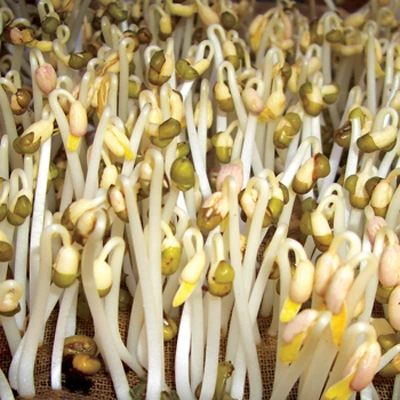 Mẹo bảo quản các loại rau quả tươi lâu hơn ảnh 2