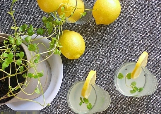 Làm ấm cơ thể với nước chanh bạc hà nóng ảnh 4