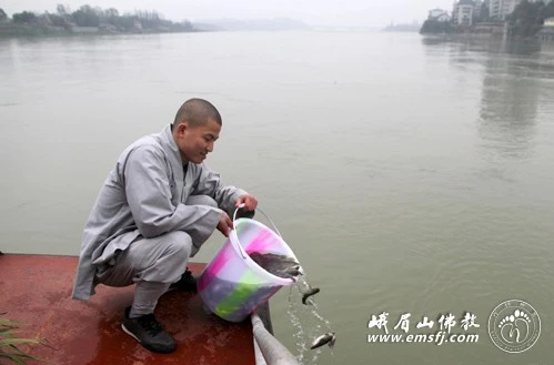 Trung Quốc: Kỷ niệm Thánh Đản Bồ Tát Quan Âm và Bồ Tát Phổ Hiền ảnh 23 quanam 26.png