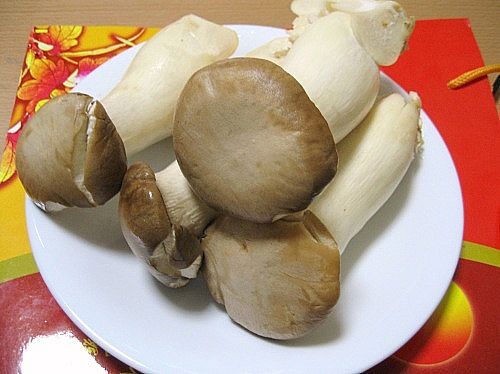 nam-rom_7-221009.jpg