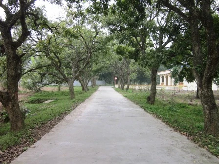 Ấn tượng chùa Bà Đanh ảnh 8