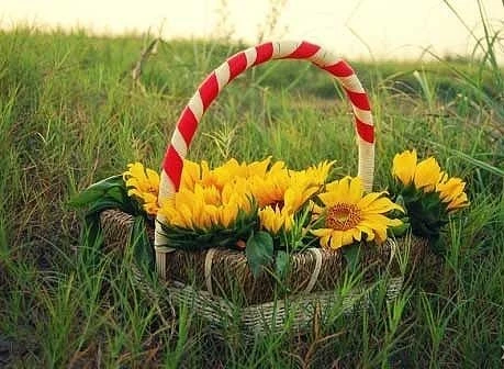 Có một ngày Chủ nhật… ảnh 2