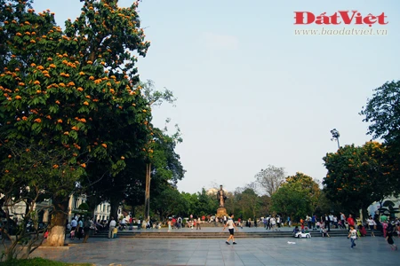 Vào những ngày này, khu vực vườn hoa Chí Linh, nơi đặt tượng đài vua Lý Thái Tổ rực rỡ sắc hoa Vô ưu. Có xuất xứ từ Ấn Độ, loài hoa này gắn với tích Đức Phật Thích Ca được sinh ra tại vườn Lâm Tỳ Ni. Hoa nở vào mùa xuân với những chùm lớn màu vàng tươi, hương thơm dịu dàng thu hút nhiều loài ong bướm. Tên hoa có nghĩa là không ưu tư phiền muộn, thể hiện tinh thần giải thoát của đạo Phật. Do sắc màu đặc trưng mà người Việt Nam còn gọi loài hoa này là hoa Vàng anh. Trong văn hóa Ấn Độ, cây Vô ưu được coi là loày cây mang đến điềm lành. Theo truyền thuyết, cây Vô ưu cảm nhận được tình cảm của con người nên được phụ nữ chăm sóc thì trổ hoa rất nhiều. Mang trong mình nhiều ý nghĩa, hoa Vô ưu được coi là một trong những Thánh hoa của đạo Phật. Hoa góp phần tạo nên một nét quyến rũ của Hà Nội vào cuối mùa xuân. Tuy vậy, rất ít người ở Hà Nội biết tên và sự tích đằng sau loài hoa này.