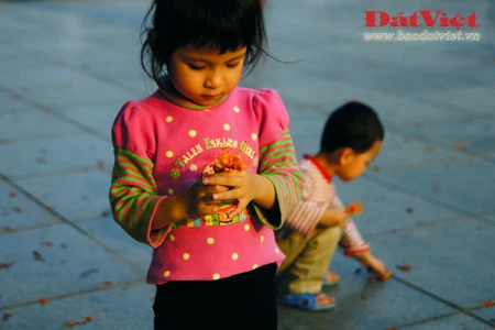 Vào những ngày này, khu vực vườn hoa Chí Linh, nơi đặt tượng đài vua Lý Thái Tổ rực rỡ sắc hoa Vô ưu. Có xuất xứ từ Ấn Độ, loài hoa này gắn với tích Đức Phật Thích Ca được sinh ra tại vườn Lâm Tỳ Ni. Hoa nở vào mùa xuân với những chùm lớn màu vàng tươi, hương thơm dịu dàng thu hút nhiều loài ong bướm. Tên hoa có nghĩa là không ưu tư phiền muộn, thể hiện tinh thần giải thoát của đạo Phật. Do sắc màu đặc trưng mà người Việt Nam còn gọi loài hoa này là hoa Vàng anh. Trong văn hóa Ấn Độ, cây Vô ưu được coi là loày cây mang đến điềm lành. Theo truyền thuyết, cây Vô ưu cảm nhận được tình cảm của con người nên được phụ nữ chăm sóc thì trổ hoa rất nhiều. Mang trong mình nhiều ý nghĩa, hoa Vô ưu được coi là một trong những Thánh hoa của đạo Phật. Hoa góp phần tạo nên một nét quyến rũ của Hà Nội vào cuối mùa xuân. Tuy vậy, rất ít người ở Hà Nội biết tên và sự tích đằng sau loài hoa này.