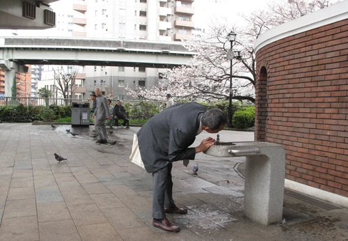 Người dân Tokyo vẫn uống nước nơi công cộng (ảnh chụp sáng 7-4 tại một góc đường gần sông Kandakawa) - Ảnh: Duyên Trường