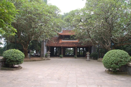 Cây thiên tuế khoảng 700 tuổi trước sân chùa.