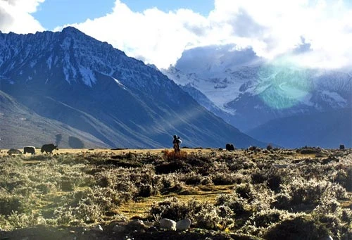 Tây Tạng hoang dại và quyến rũ ảnh 5