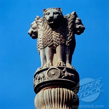 Tiếp xúc và cúng dường Phật Đản ảnh 5