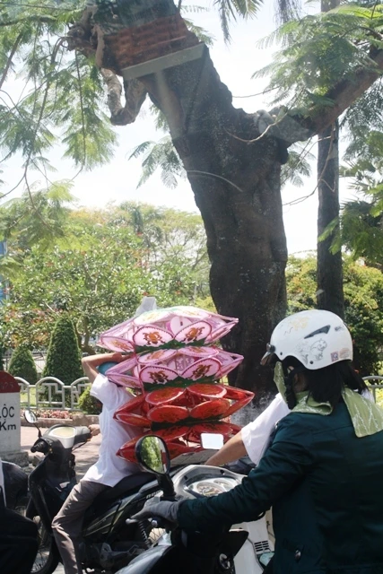 Huế: Lồng đèn Phật đản đã lên phố ảnh 6