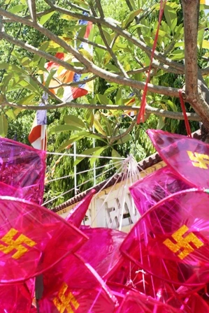 Huế: Lồng đèn Phật đản đã lên phố ảnh 13