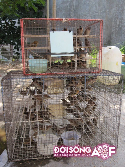 Lễ Phật Đản ở một ngôi chùa từ thiện ảnh 14