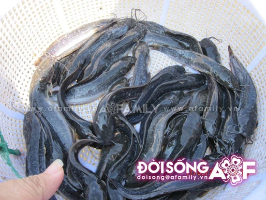 Lễ Phật Đản ở một ngôi chùa từ thiện ảnh 15