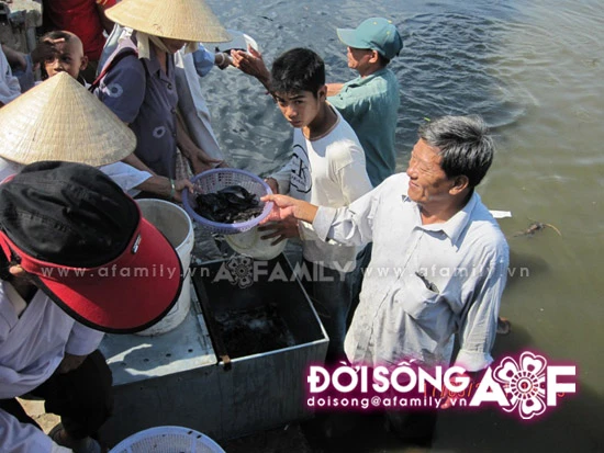 Lễ Phật Đản ở một ngôi chùa từ thiện ảnh 11