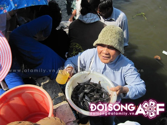 Lễ Phật Đản ở một ngôi chùa từ thiện ảnh 12