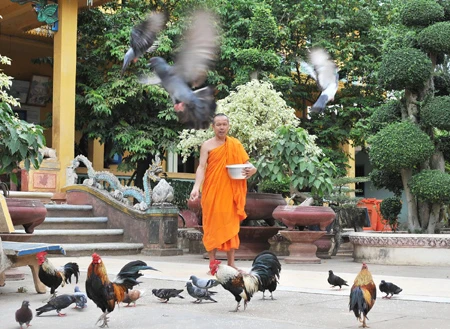 Độc đáo chùa Kompông Chrây ảnh 4