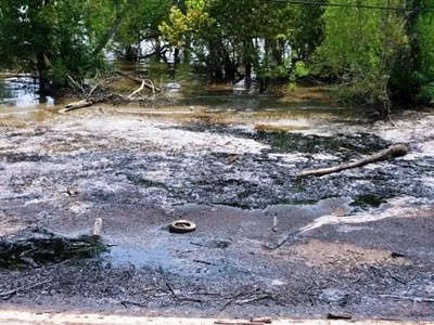 Trái đất đang bị hủy diệt vì con người ăn nhiều thịt ảnh 3 images 3.jpg
