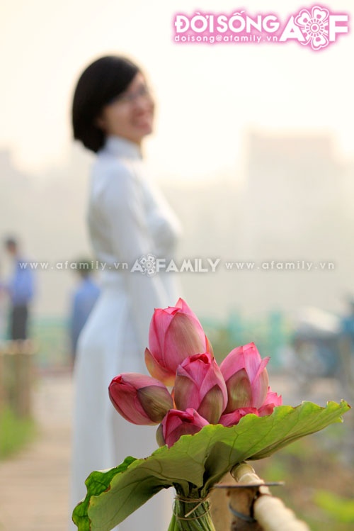 Mùa sen tháng 5 bừng nở ảnh 6