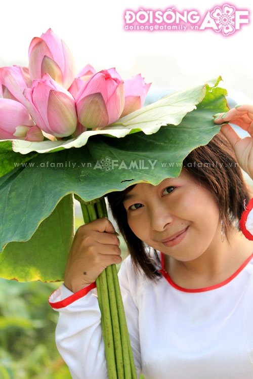 Mùa sen tháng 5 bừng nở ảnh 7