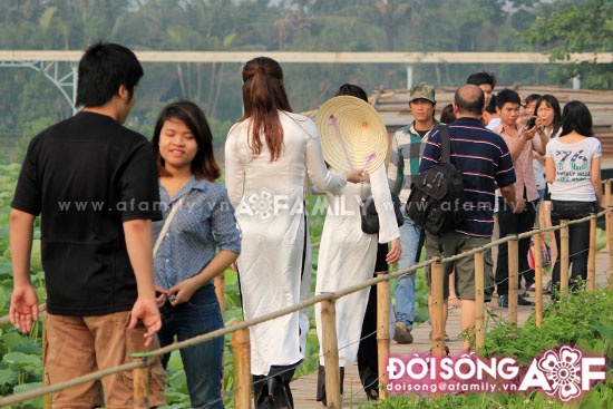 Mùa sen tháng 5 bừng nở ảnh 8