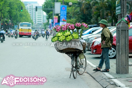 Mùa sen tháng 5 bừng nở ảnh 16