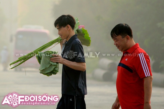 Mùa sen tháng 5 bừng nở ảnh 17