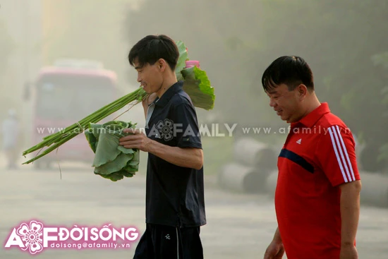 Mùa sen tháng 5 bừng nở ảnh 17