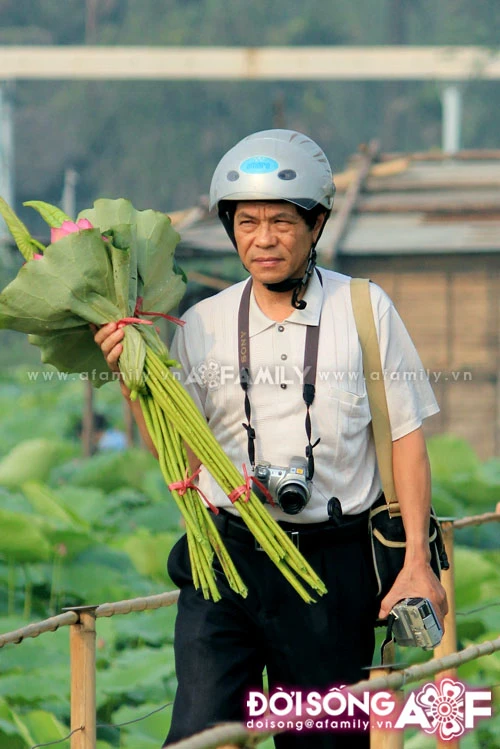 Mùa sen tháng 5 bừng nở ảnh 18