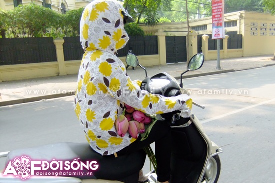 Mùa sen tháng 5 bừng nở ảnh 19