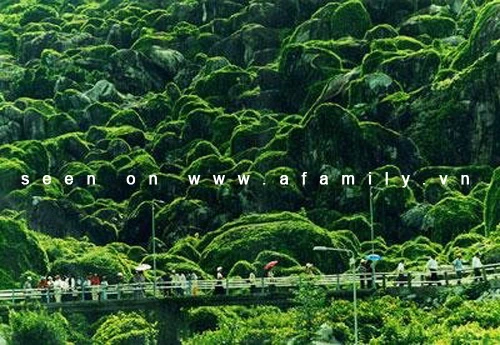 Bồng bềnh vẻ đẹp Thiên Cấm Sơn ảnh 9