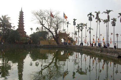 Những đóa sen bên Hồ Tây ảnh 1 (2)chua4.jpg