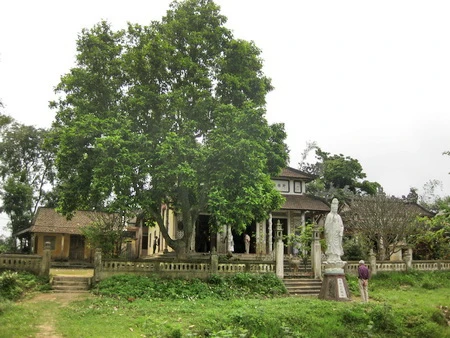 chua Linh Quang Quang Trinho.jpg